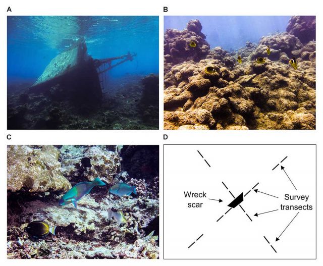 Conservation & Restoration Palmyra Atoll Research Consortium